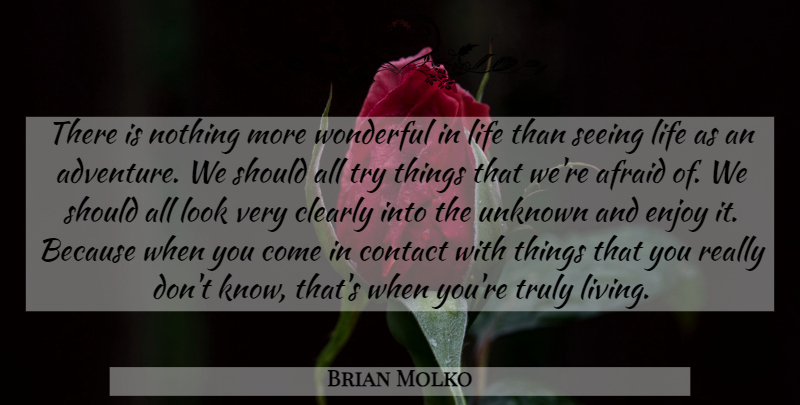 Brian Molko Quote About Adventure, Trying, Looks: There Is Nothing More Wonderful...