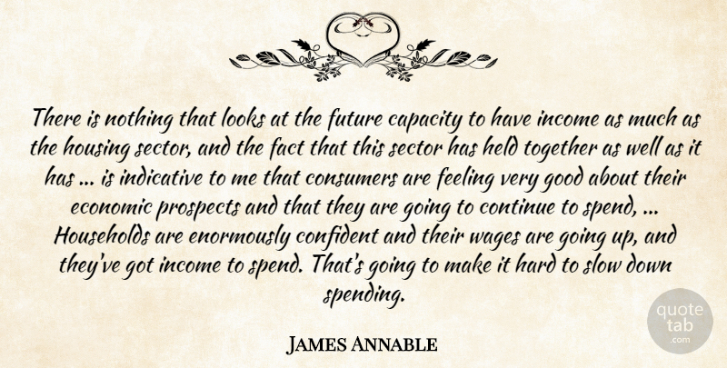 James Annable Quote About Capacity, Confident, Consumers, Continue, Economic: There Is Nothing That Looks...