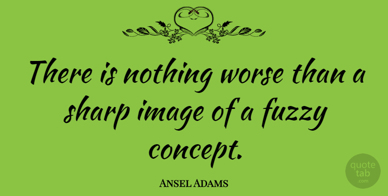 Ansel Adams Quote About Photography, Art, Ignorance: There Is Nothing Worse Than...