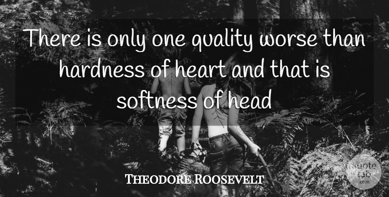 Theodore Roosevelt Quote About Hardness, Head, Heart, Quality, Softness: There Is Only One Quality...
