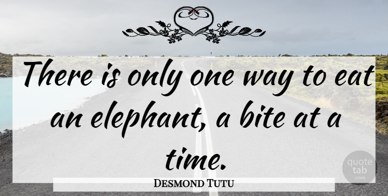 Desmond Tutu Quote About Elephants, Way, Politics: There Is Only One Way...