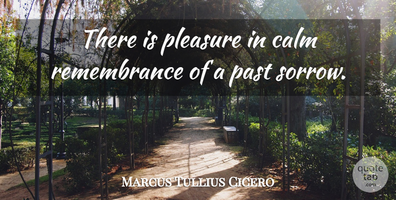 Marcus Tullius Cicero Quote About Past, Remembrance, Sorrow: There Is Pleasure In Calm...