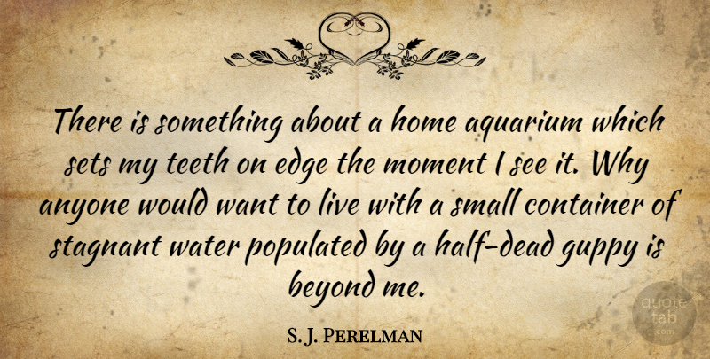 S. J. Perelman Quote About Home, Aquariums, Water: There Is Something About A...
