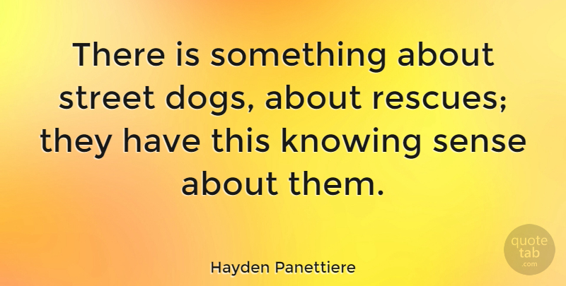 Hayden Panettiere Quote About Dog, Knowing, Rescue: There Is Something About Street...