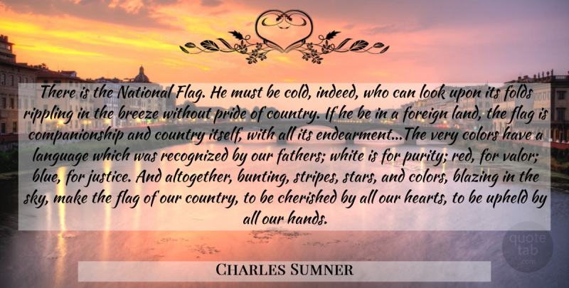 Charles Sumner Quote About Country, Stars, Father: There Is The National Flag...