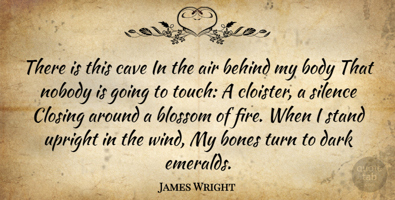 James Wright Quote About Dark, Air, Wind: There Is This Cave In...