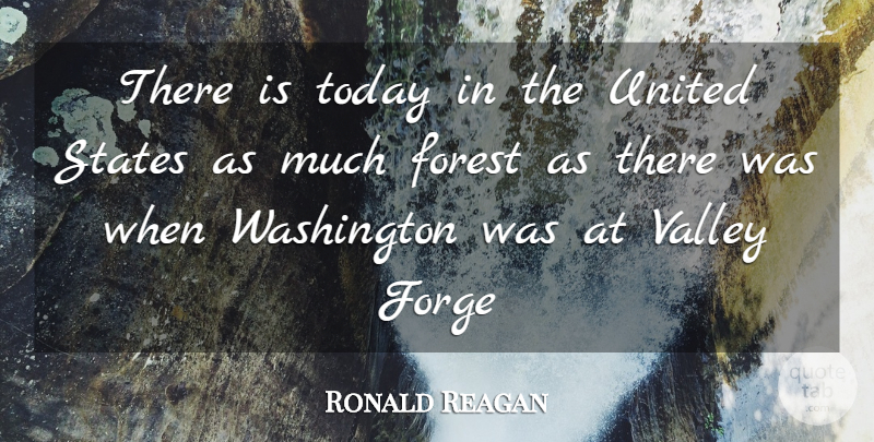 Ronald Reagan Quote About Forest, Forge, States, Today, United: There Is Today In The...
