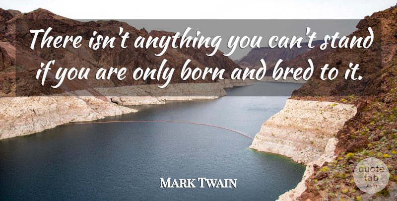 Mark Twain Quote About Born, Ifs: There Isnt Anything You Cant...