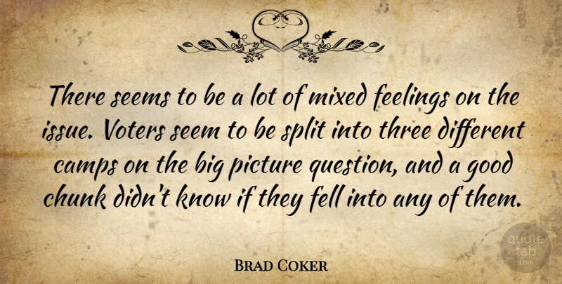 Brad Coker Quote About Camps, Chunk, Feelings, Fell, Good: There Seems To Be A...