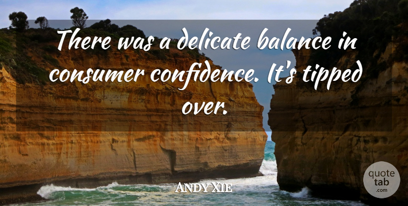 Andy Xie Quote About Balance, Consumer, Delicate: There Was A Delicate Balance...