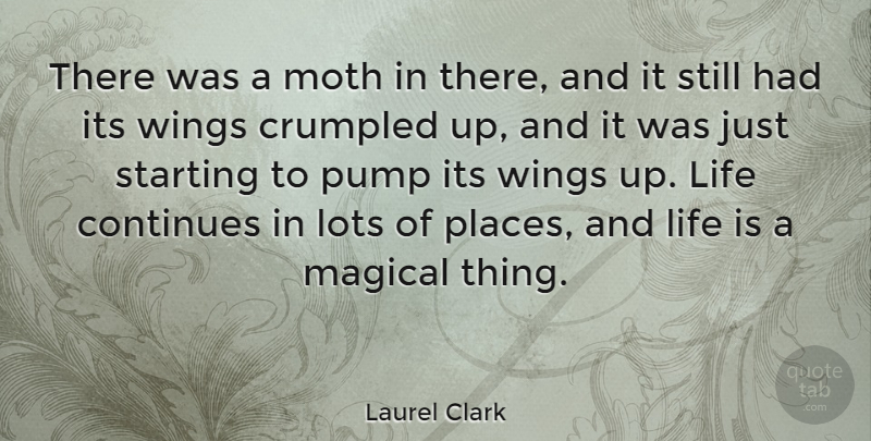 Laurel Clark Quote About Wings, Pumps, Life Is: There Was A Moth In...