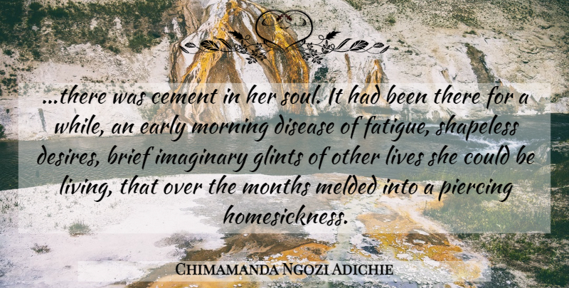 Chimamanda Ngozi Adichie Quote About Morning, Soul, Desire: There Was Cement In Her...