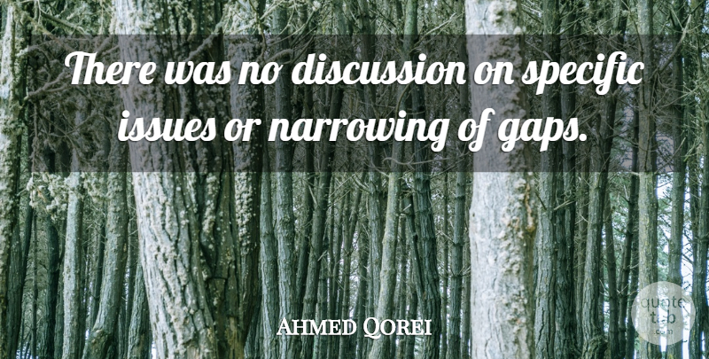 Ahmed Qorei Quote About Discussion, Issues, Specific: There Was No Discussion On...