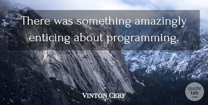 Vinton Cerf Quote About Programming, Enticing: There Was Something Amazingly Enticing...