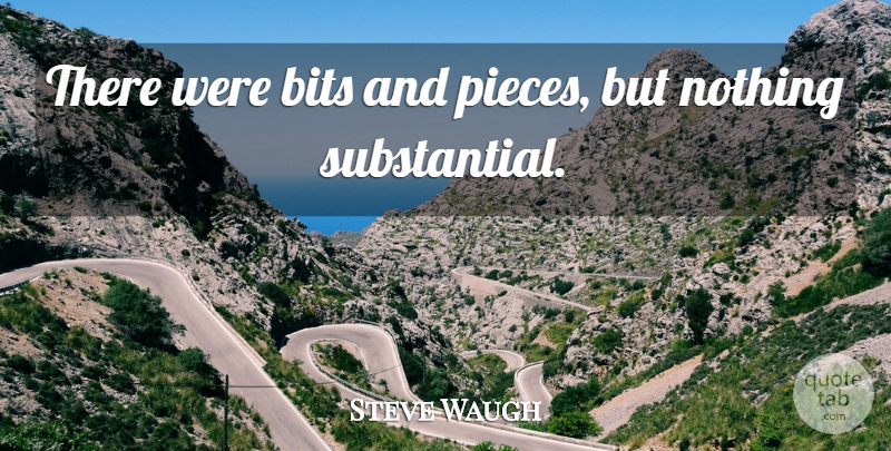 Steve Waugh Quote About Bits: There Were Bits And Pieces...
