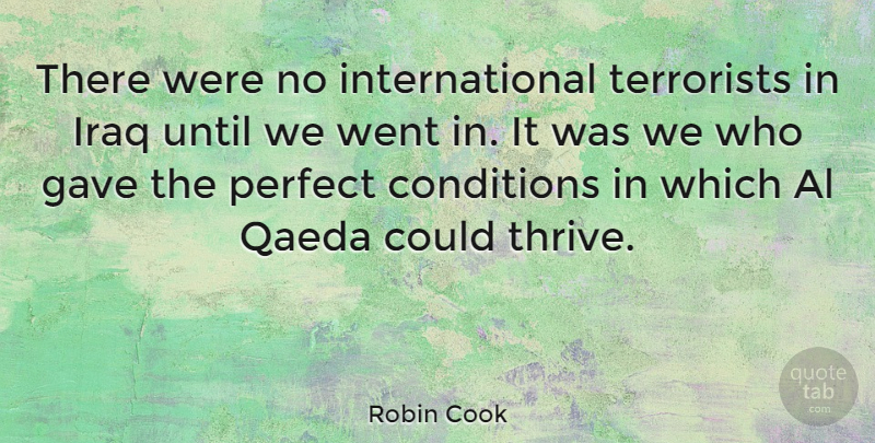 Robin Cook Quote About War, Iraq, Perfect: There Were No International Terrorists...