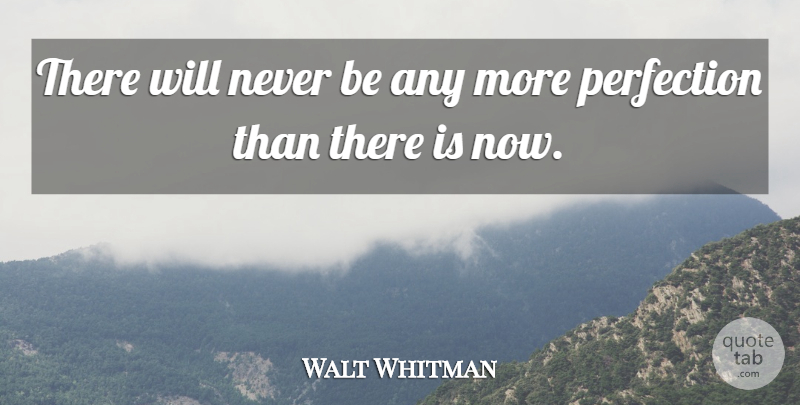 Walt Whitman Quote About Perfection, Leaves Of Grass: There Will Never Be Any...