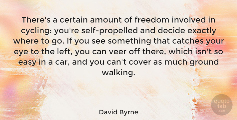 David Byrne Quote About Amount, Car, Certain, Cover, Decide: Theres A Certain Amount Of...