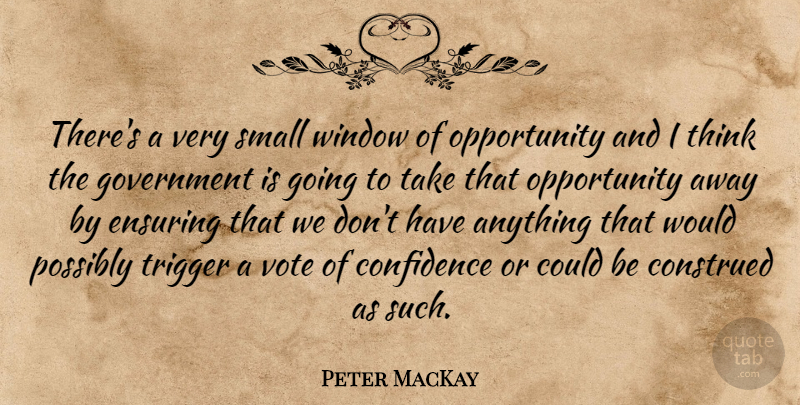 Peter MacKay Quote About Confidence, Ensuring, Government, Opportunity, Possibly: Theres A Very Small Window...