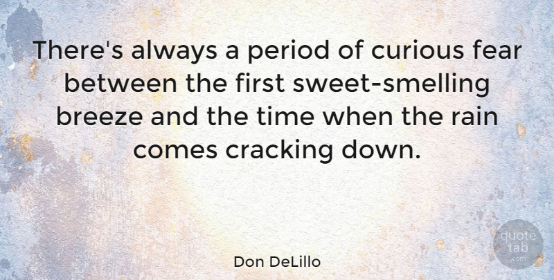 Don DeLillo Quote About Sweet, Rain, Firsts: Theres Always A Period Of...