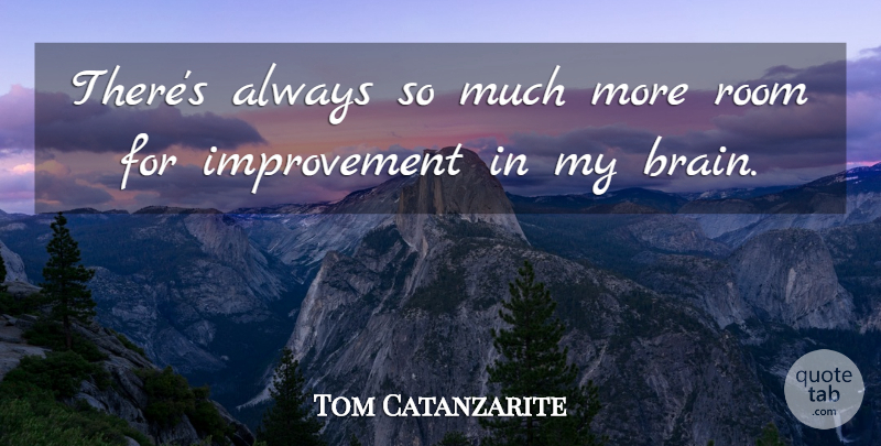 Tom Catanzarite Quote About Improvement, Room: Theres Always So Much More...