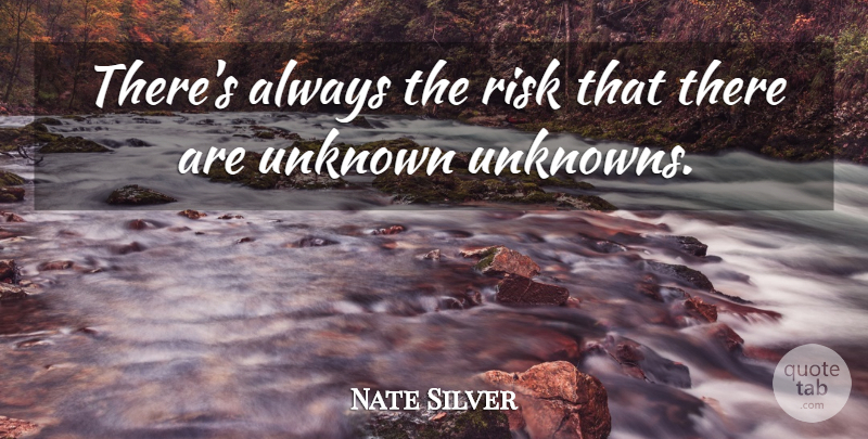 Nate Silver Quote About Risk, Marketing: Theres Always The Risk That...