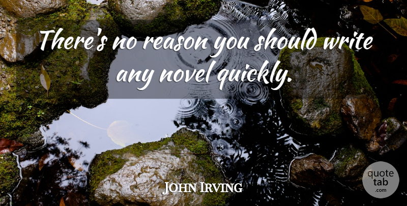 John Irving Quote About Writing, Reason, Should: Theres No Reason You Should...