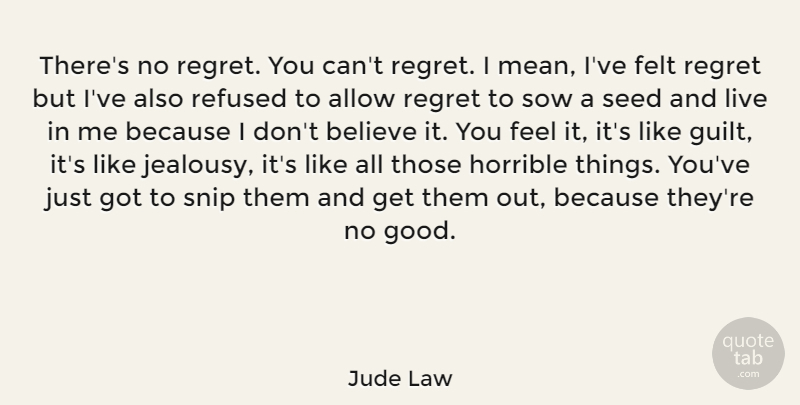 Jude Law Quote About Jealousy, Regret, Believe: Theres No Regret You Cant...