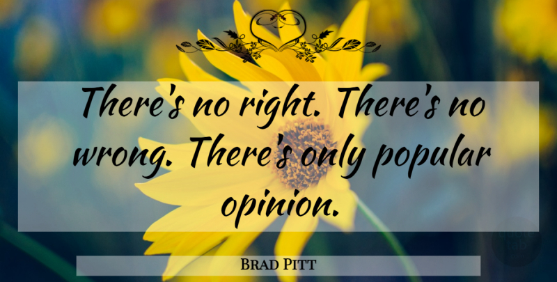Brad Pitt Quote About Wisdom, Monkeys, Opinion: Theres No Right Theres No...