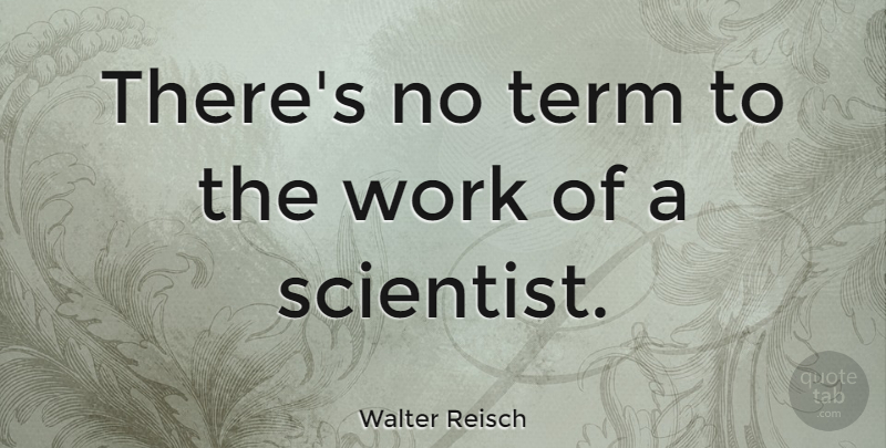 Walter Reisch Quote About Scientist, Term: Theres No Term To The...