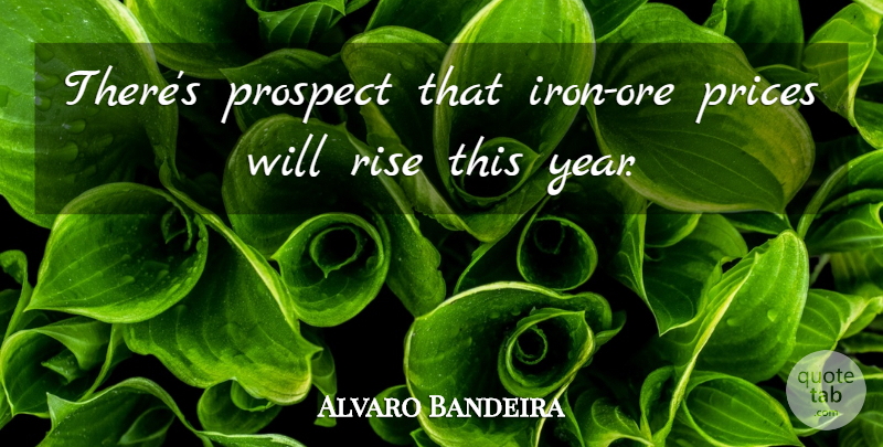 Alvaro Bandeira Quote About Prices, Prospect, Rise: Theres Prospect That Iron Ore...