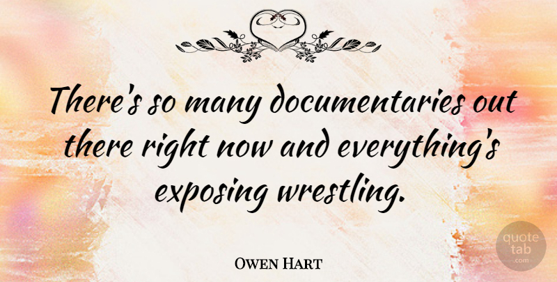 Owen Hart Quote About Wrestling, Documentaries, Right Now: Theres So Many Documentaries Out...
