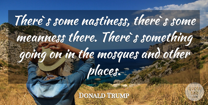 Donald Trump Quote About Nastiness, Mosques, Meanness: Theres Some Nastiness Theres Some...