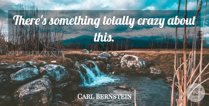 Carl Bernstein Quote About Crazy, Nsa: Theres Something Totally Crazy About...