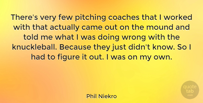 Phil Niekro Quote About Came, Few, Figure, Mound, Worked: Theres Very Few Pitching Coaches...