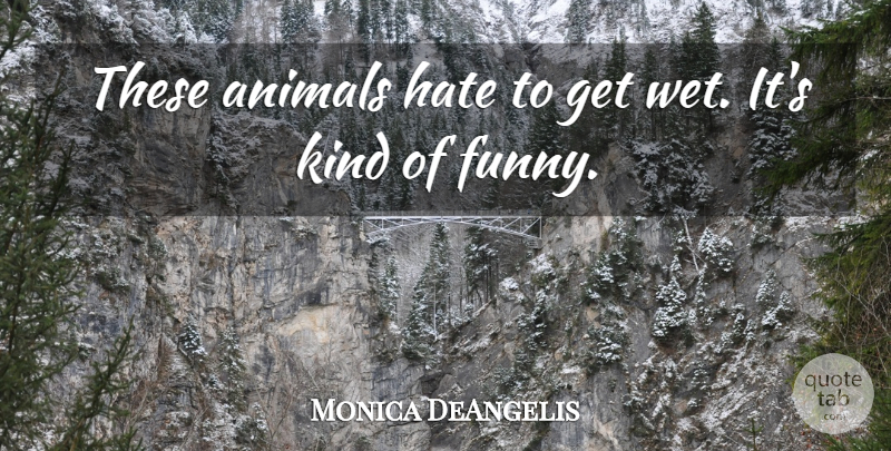 Monica DeAngelis Quote About Animals, Hate: These Animals Hate To Get...