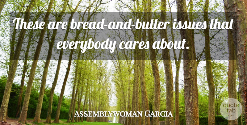 Assemblywoman Garcia Quote About Cares, Everybody, Issues: These Are Bread And Butter...