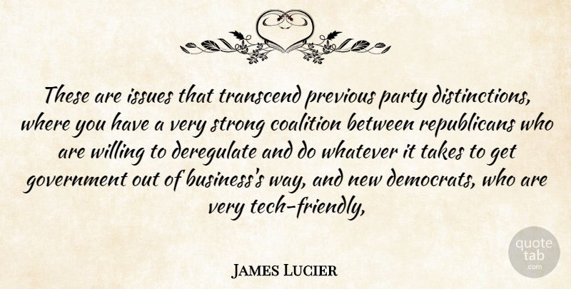James Lucier Quote About Coalition, Government, Issues, Party, Previous: These Are Issues That Transcend...