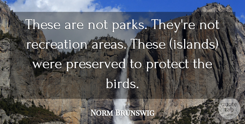 Norm Brunswig Quote About Preserved, Protect, Recreation: These Are Not Parks Theyre...