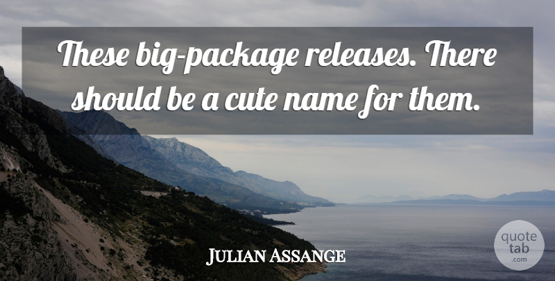 Julian Assange Quote About Cute, Names, Should: These Big Package Releases There...