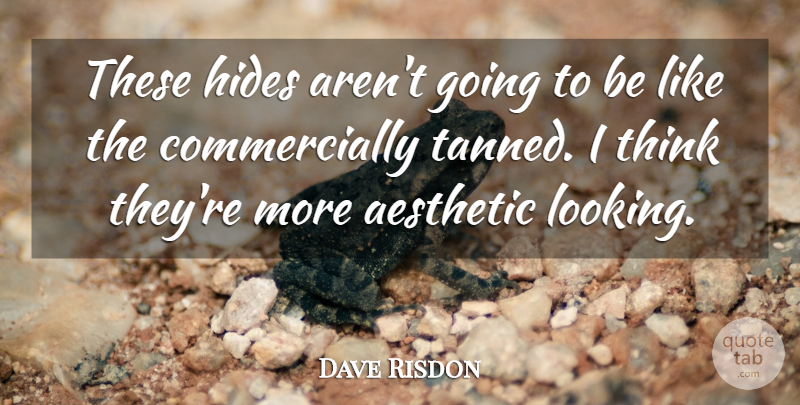 Dave Risdon Quote About Aesthetic, Hides: These Hides Arent Going To...