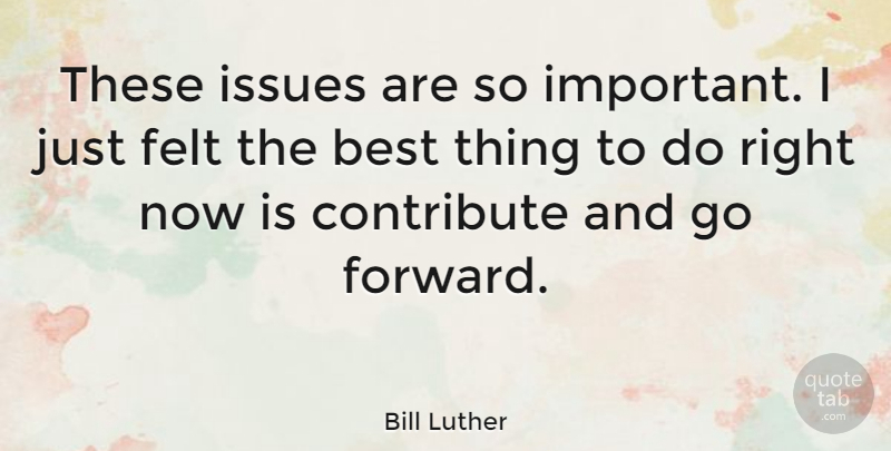 Bill Luther Quote About Best, Contribute, Felt: These Issues Are So Important...