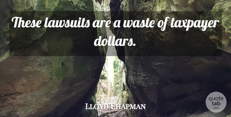 Lloyd Chapman Quote About Lawsuits, Taxpayer, Waste: These Lawsuits Are A Waste...