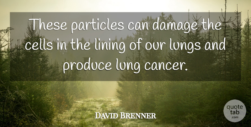 David Brenner Quote About Cancer, Cells, Damage, Lining, Lungs: These Particles Can Damage The...