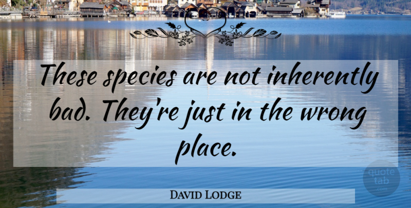 David Lodge Quote About Inherently, Species, Wrong: These Species Are Not Inherently...