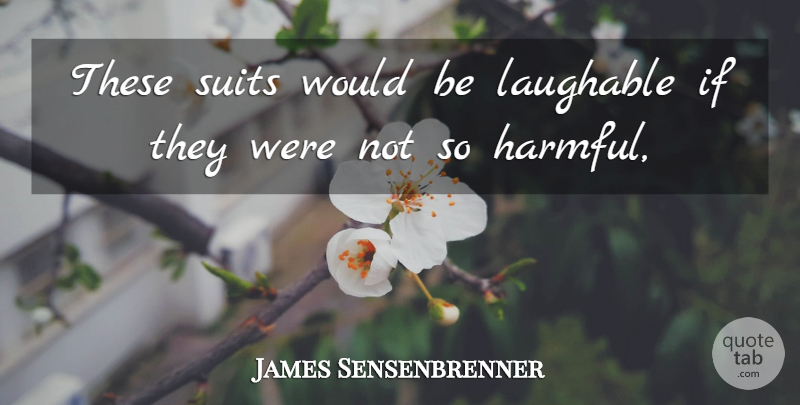 James Sensenbrenner Quote About Laughable, Suits: These Suits Would Be Laughable...