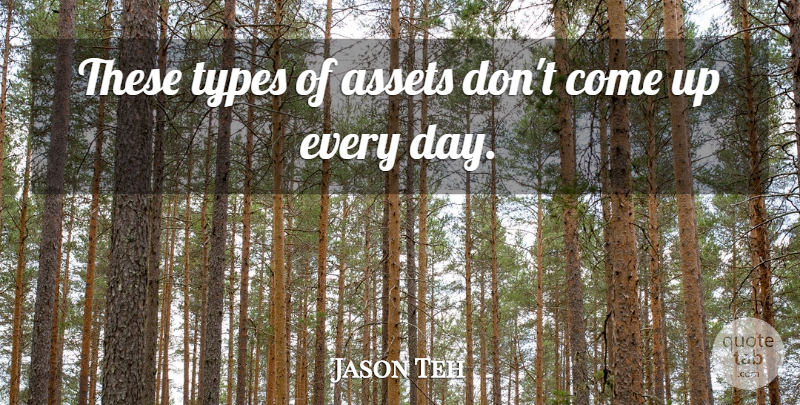 Jason Teh Quote About Assets, Types: These Types Of Assets Dont...