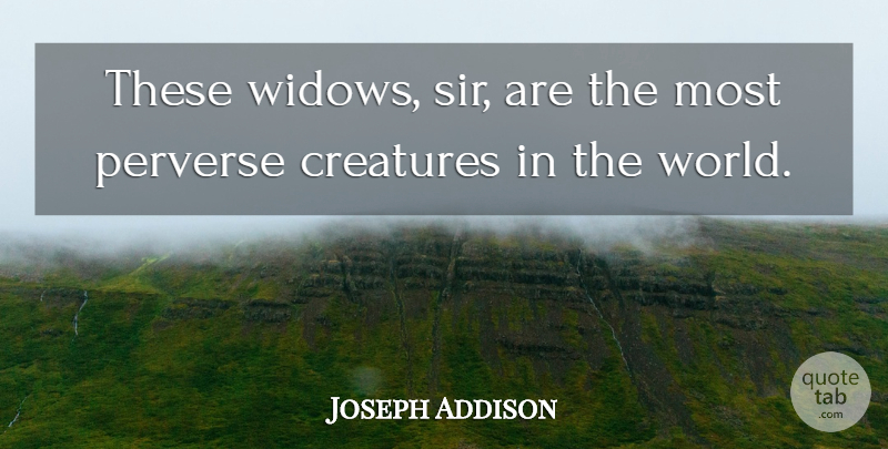 Joseph Addison Quote About Creatures, Perverse: These Widows Sir Are The...