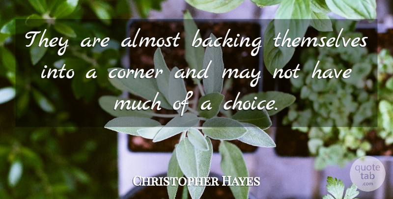 Christopher Hayes Quote About Almost, Backing, Corner, Themselves: They Are Almost Backing Themselves...