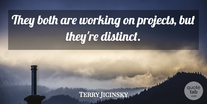 Terry Jicinsky Quote About Both: They Both Are Working On...